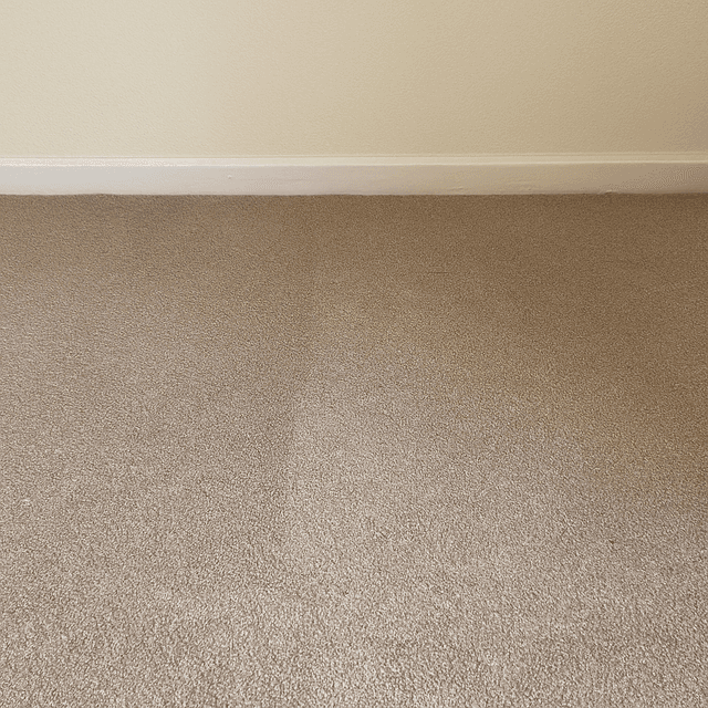 Carpet cleaning
